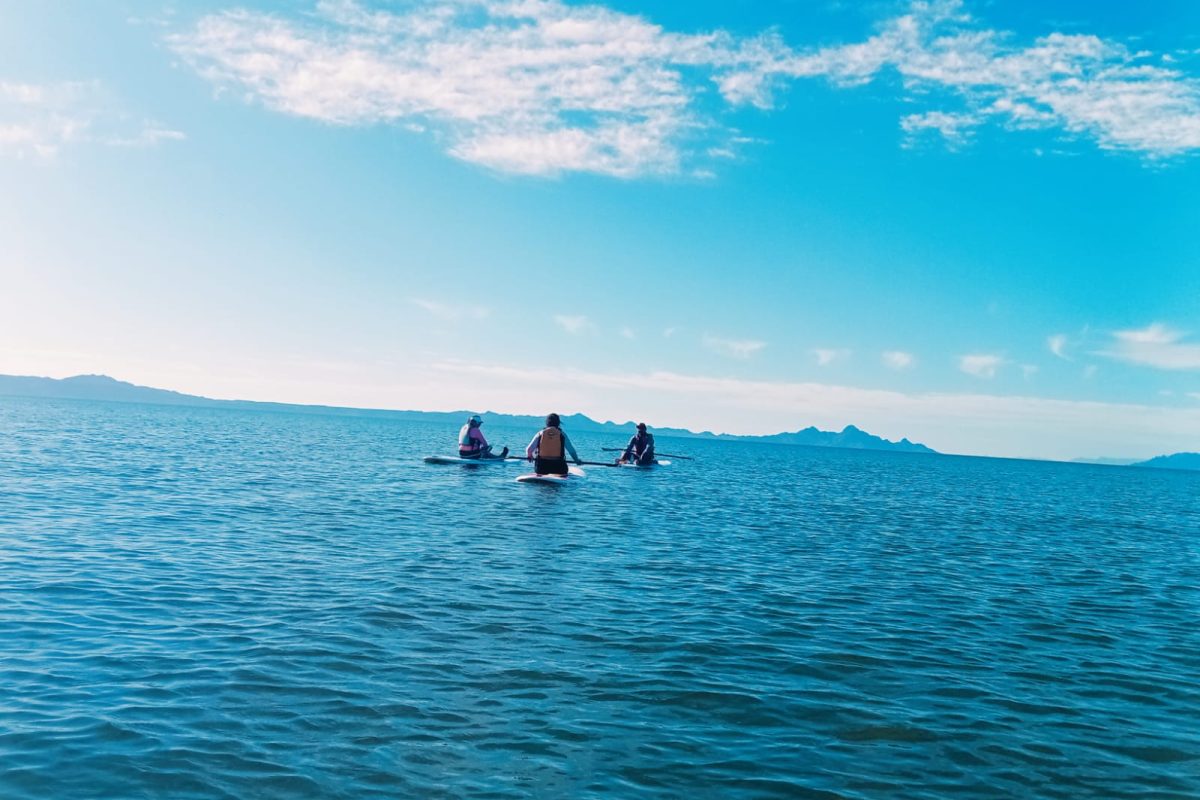 WhatsApp Image 2025-05-18 at 10.45.39 AM